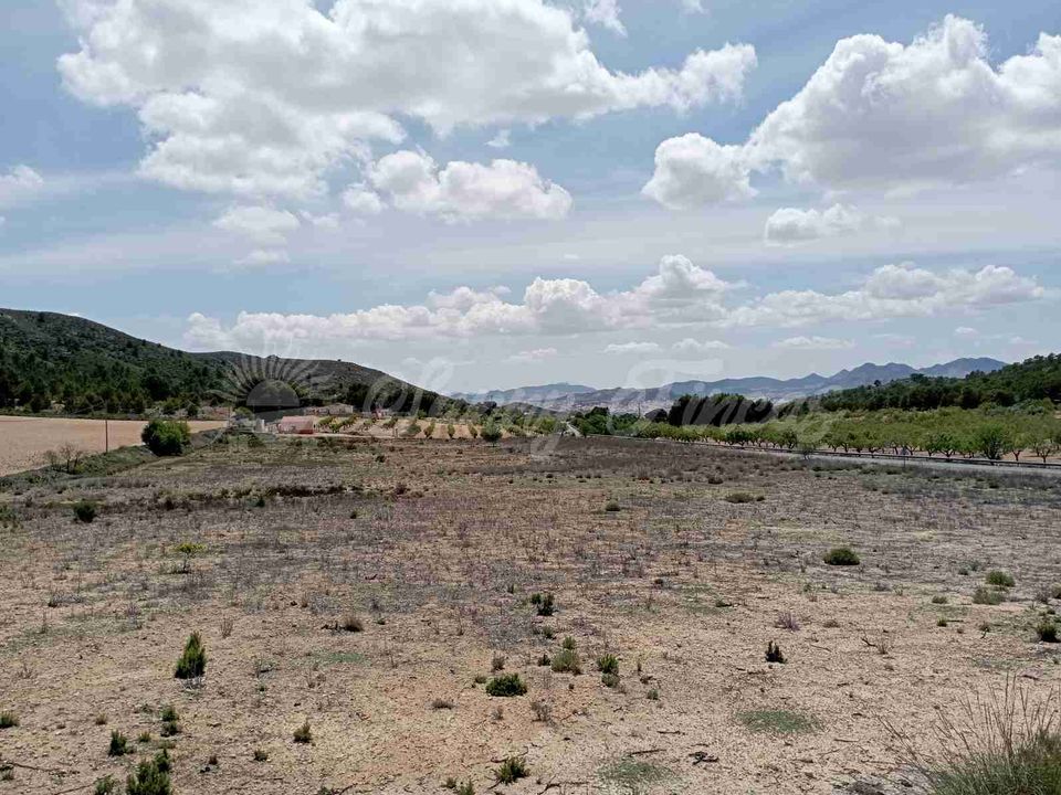 Helårsgrund i Yecla, Murcia - foto 1